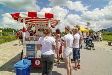 Rosenfest bei Primavera