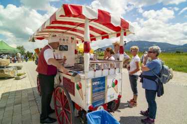 Rosenfest bei Primavera