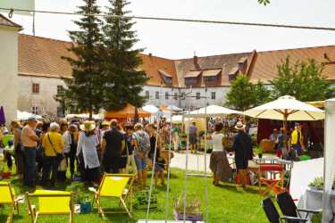 Blütentage Steingaden 2019