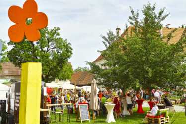 Blütentage Steingaden 2019