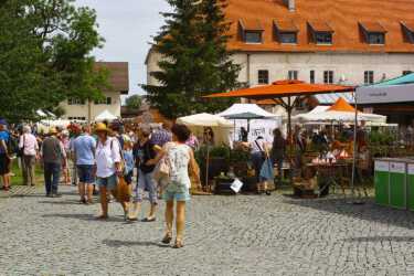 Blütentage Steingaden 2019