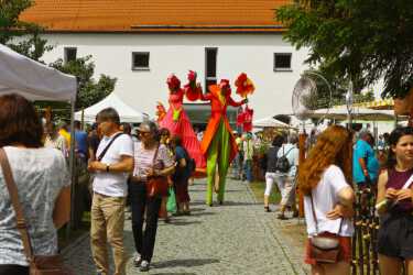 Blütentage Steingaden 2019