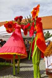 Blütentage Steingaden 2019