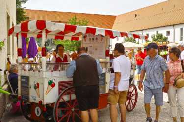 Blütentage Steingaden 2019