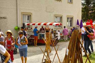 Blütentage Steingaden 2019